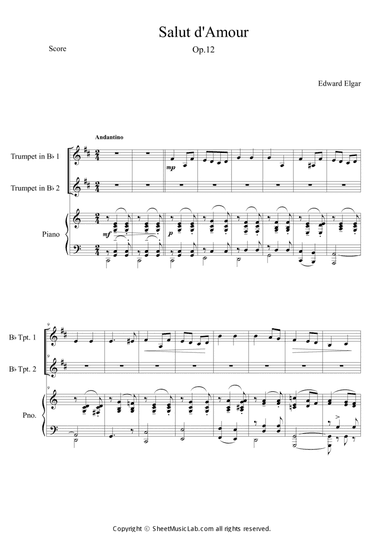 Salut d'amour Short&Easy Version (in C)