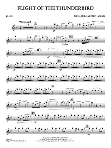 Flight Of The Thunderbird - Flute