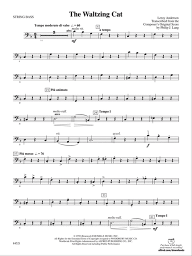 The Waltzing Cat: String Bass