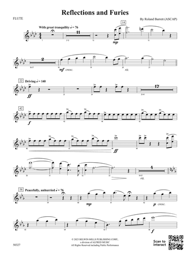 Reflections and Furies: Flute