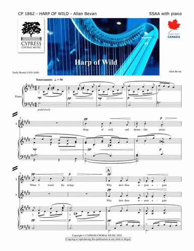 Harp of Wild