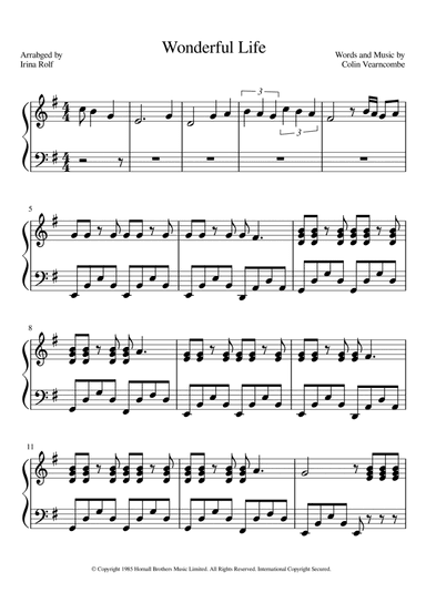 Wonderful Life
