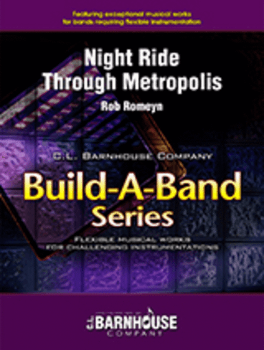 Night Ride Through Metropolis