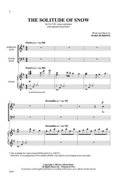 The Solitude of Snow