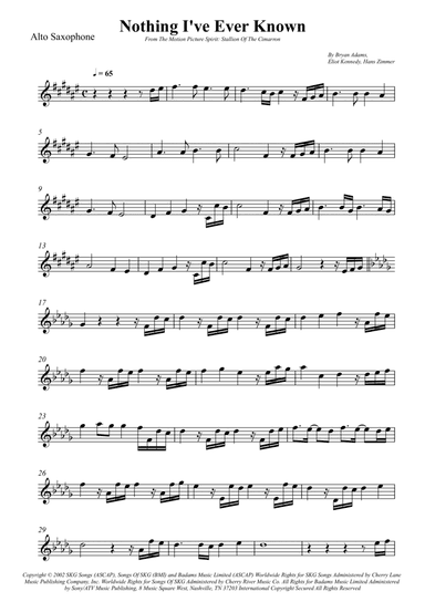 Nothing I've Ever Known