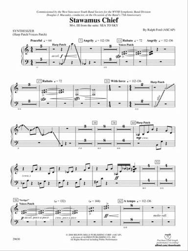 Stawamus Chief: Synthesizer