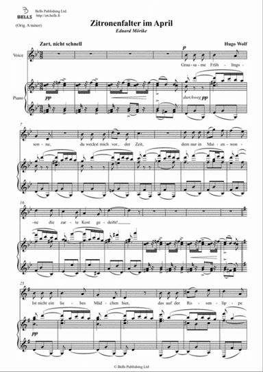 Zitronenfalter im April (G minor)