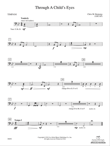 Through a Child's Eyes: Timpani