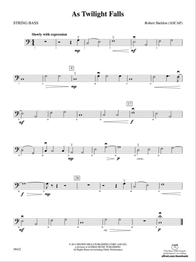 As Twilight Falls: String Bass