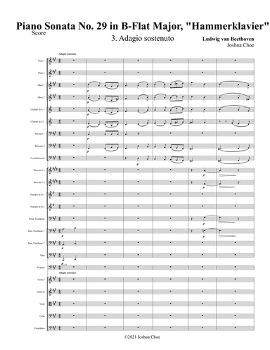 Hammerklavier Sonata, Movement 3