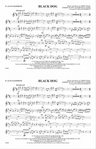 Black Dog: E-flat Alto Saxophone