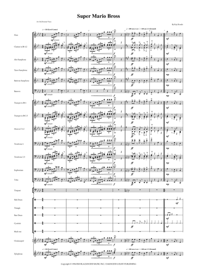 Super Mario Bros Theme