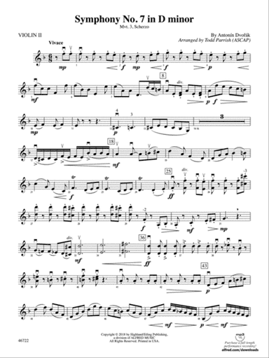 Symphony No. 7 in D Minor: 2nd Violin