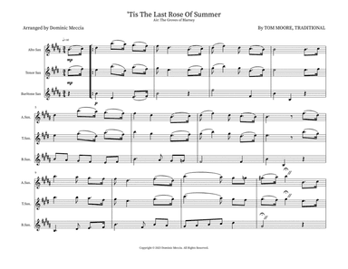 'Tis The Last Rose Of Summer