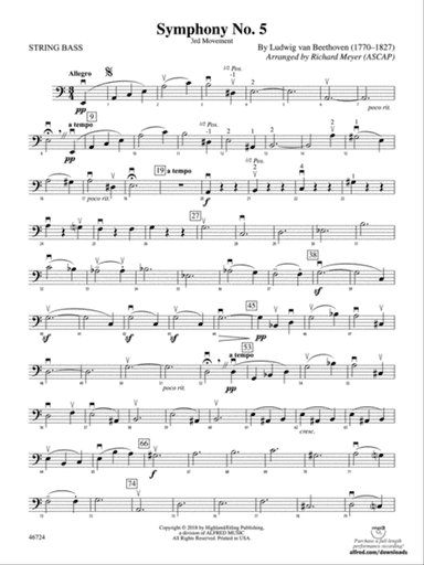 Symphony No. 5: String Bass