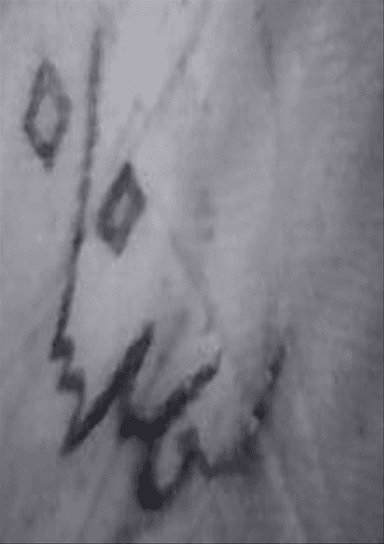 Morse Charang : 003161