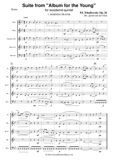Suite from "Album for the Young"