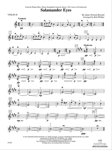 Salamander Eyes: 2nd Violin