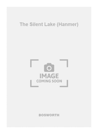 The Silent Lake (Hanmer)