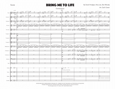 Bring Me To Life