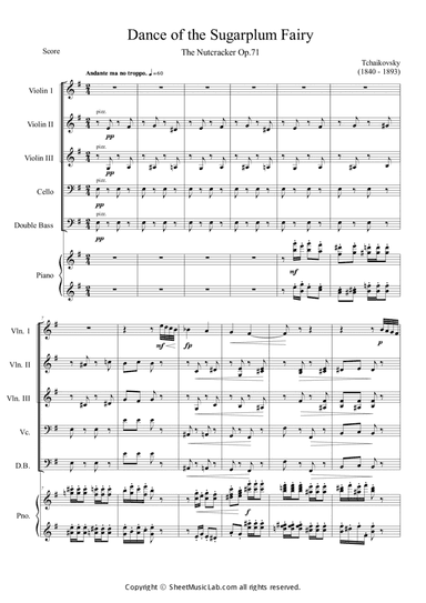 Nutcracker Op.71a - Dance Of The Sugarplum Fairy