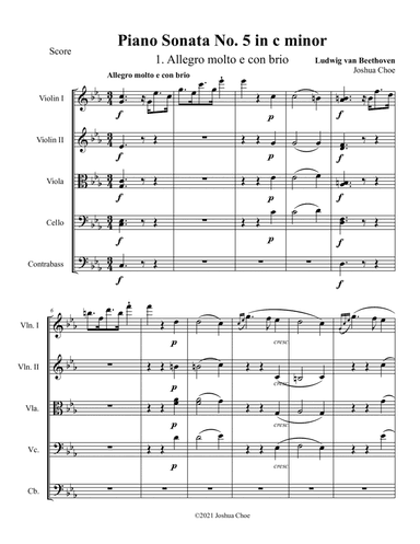 "Little Pathetique" Sonata, Movement 1