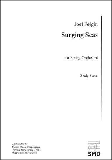 Surging Seas