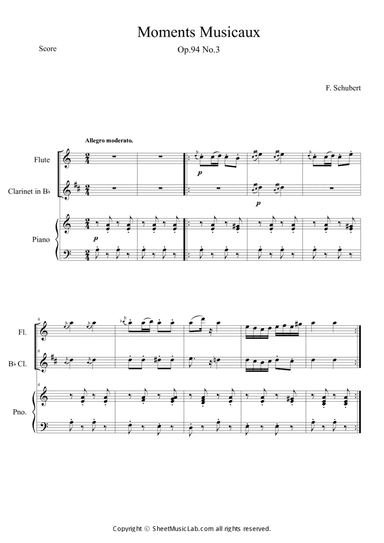 Moments Musicaux No.3 in Am