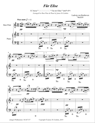 Beethoven: Für Elise for Bass Flute & Piano