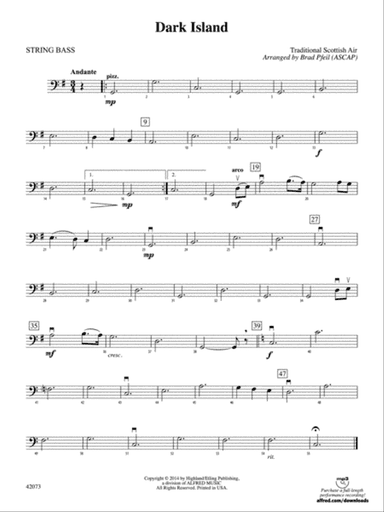 Dark Island: String Bass