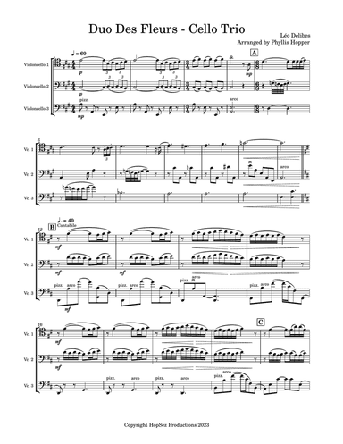 Duo Des Fleurs - Cello Trio