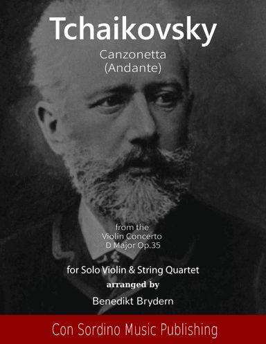 Canzonetta (Andante) from Violin Concerto D Major