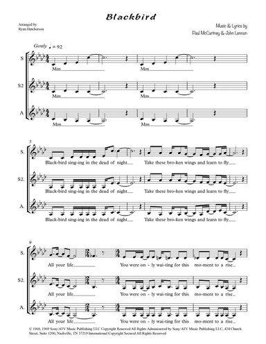 Blackbird