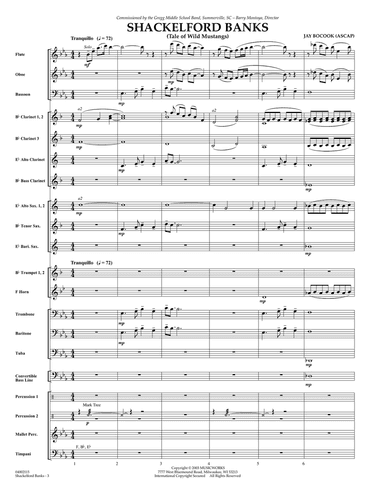 Shackelford Banks - Full Score