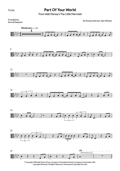 Part Of Your World (reprise)