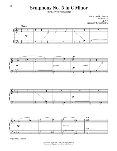 Symphony No. 5, Third Movement Excerpt