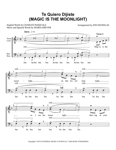 Magic Is The Moonlight