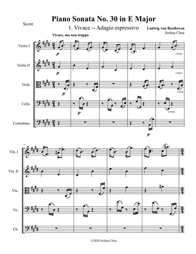 Piano Sonata No. 30, Movement 1