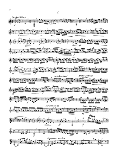 Franz: Etudes and Concert Etudes