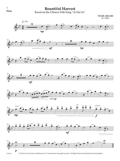 Accessible Solo Repertoire for Flute