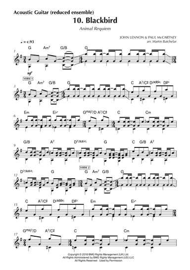 Animal Requiem - Acoustic Guitar