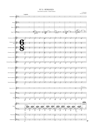 Una Furtiva Lacrima - L'elisir d'amore