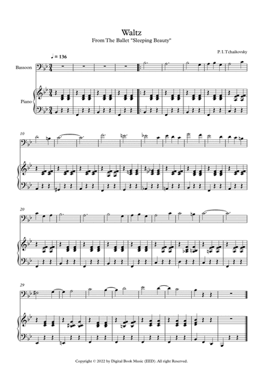 Waltz (Sleeping Beauty) - Peter Ilyich Tchaikovsky (Bassoon + Piano)