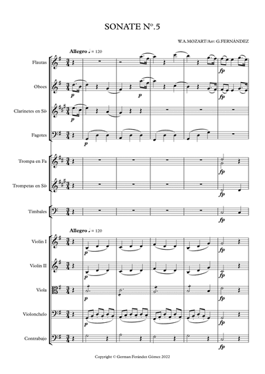 SONATE Nº5 - FIRST MOVEMENT