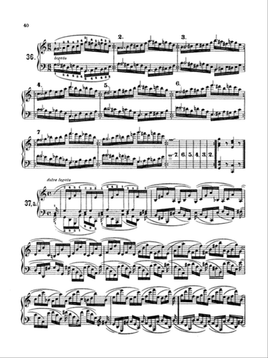Brahms: Fifty-one Etudes