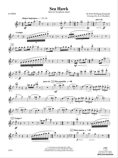 Sea Hawk: Oboe