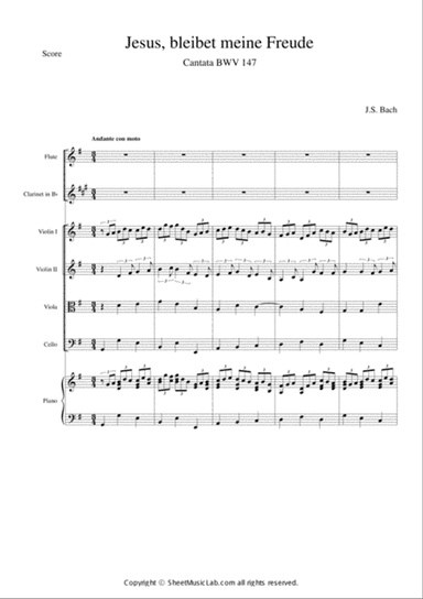 Jesus Bleibet Meine Freude (Choral From Cantata BWV 147)