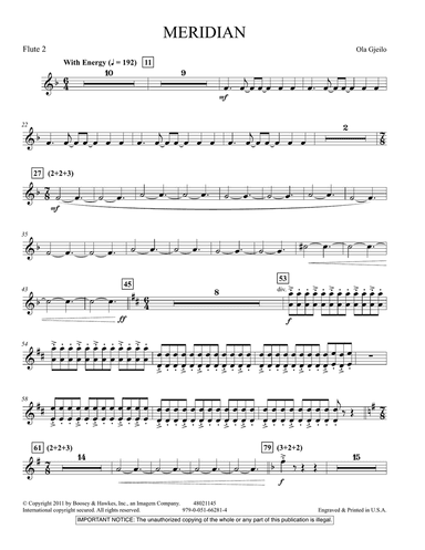 Meridian - Flute 2