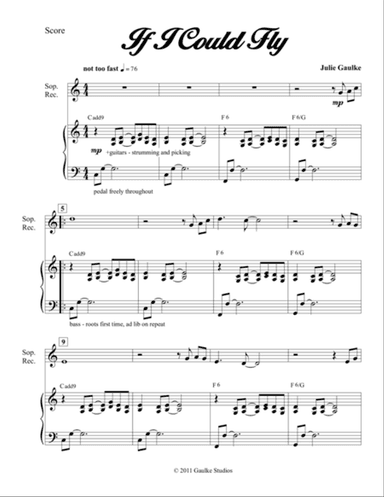 If I Could Fly (recorder)