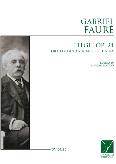 Elegie op. 24, for Cello and string Orchestra